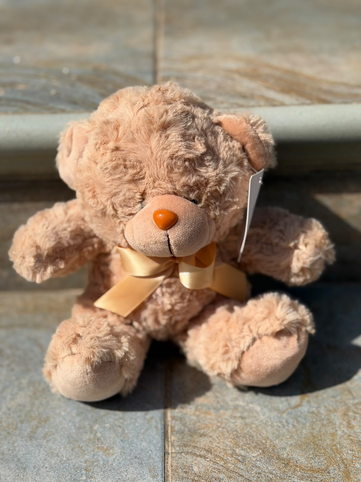 Beige teddy bear
