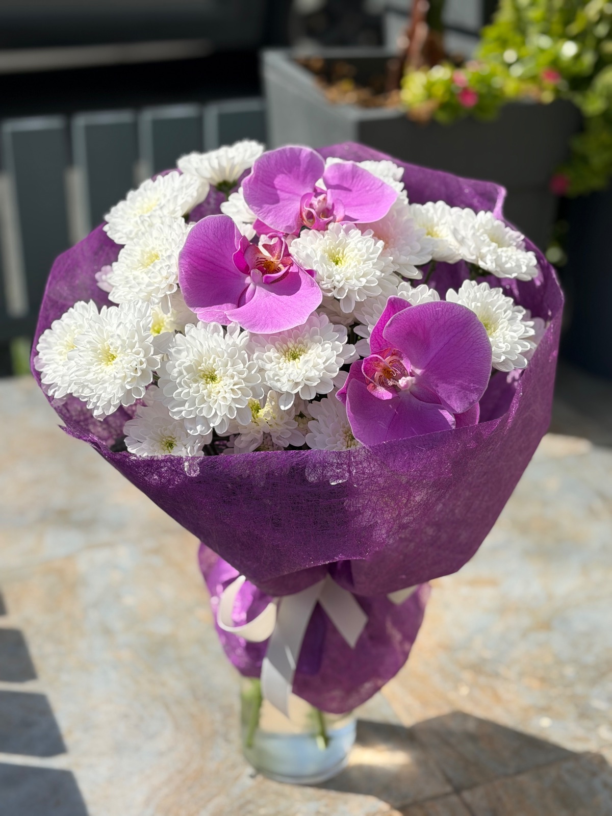💜 Purple Harmony —
