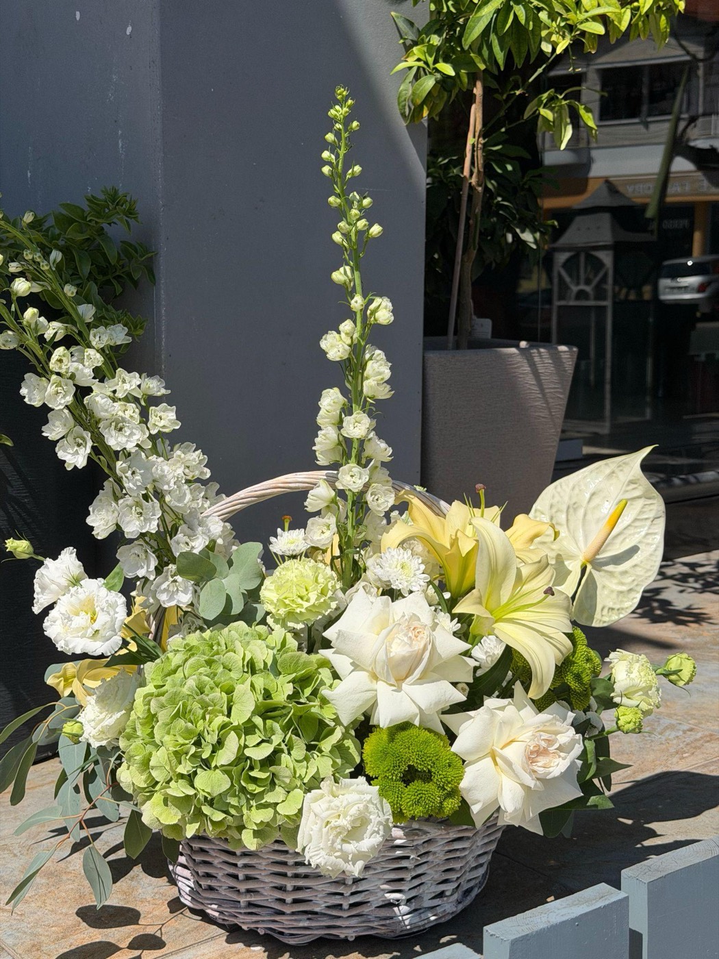Lime Blossom
