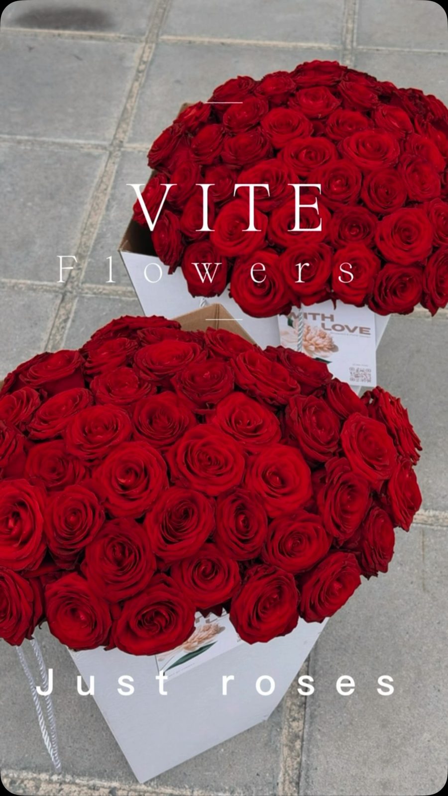 Roses that speak without words. 🌹
A timeless symbol of love