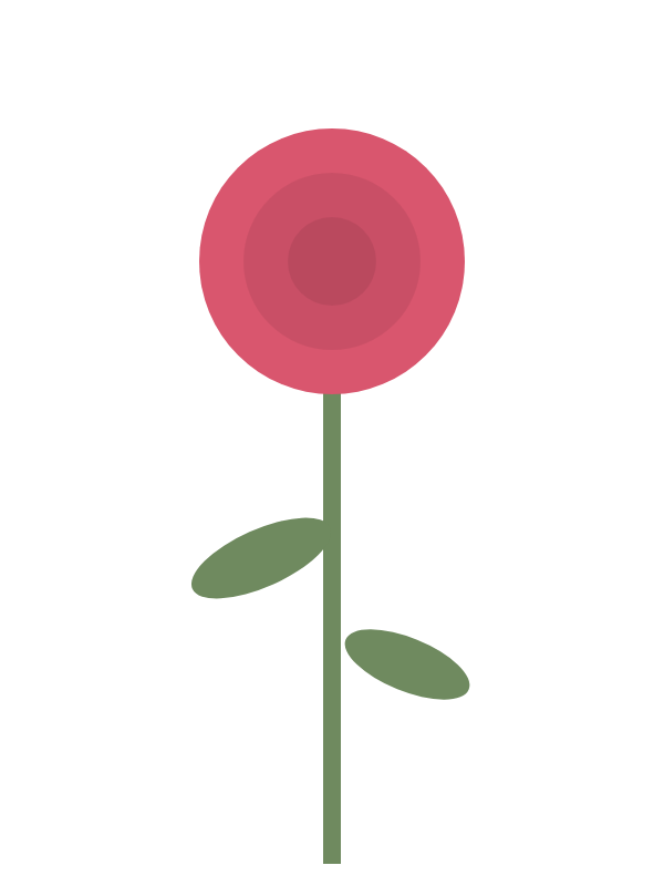 Carnation