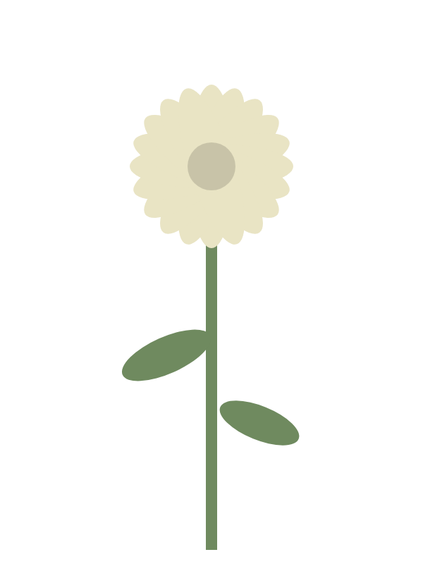 Single-bloom chrysanthemum