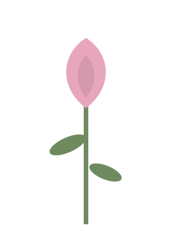 Pink lily